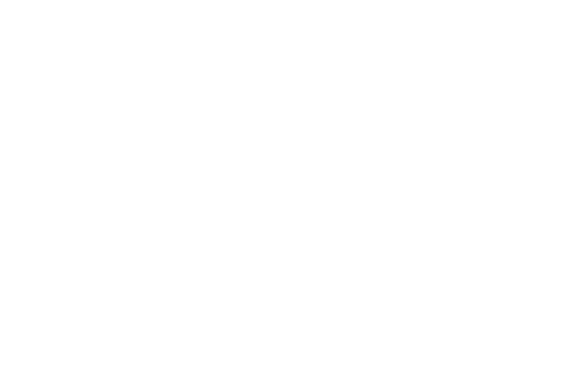 Women Fit to Lead